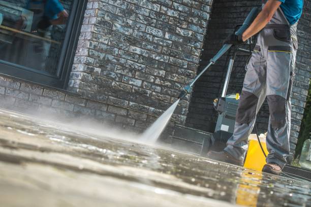 Best Pre-Holiday Cleaning  in Basye, VA