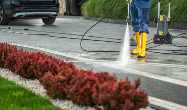 Best Parking Lot and Garage Cleaning  in Basye, VA